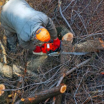 Baumfällarbeiten