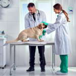 Tierklinik